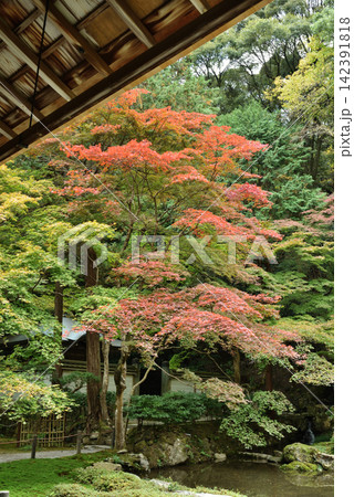 秋の南禅院 方丈庭園(京都市左京区) 秋の南禅院 方丈庭園(京都市左京区) 142391818