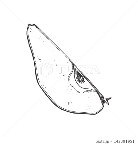 A slice of pear with seeds, drawn by hand in ink in vector format. Vector illustration of fresh garden fruits for healthy food design, for labels and menus, product packaging. Printing on fabric. 142391951