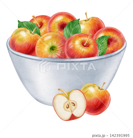 Watercolor illustration of a ceramic bowl filled with ripe red yellow apples, leaves isolated on white background. Perfect for product logo, market posters, food packaging, textile patterns 142391995