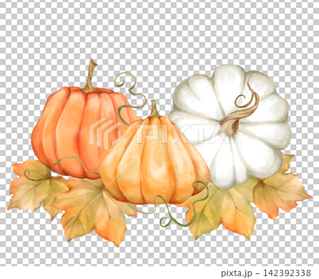 Hand-drawn autumn pumpkin and leaves illustration Hand-drawn autumn pumpkin and leaves illustration 142392338