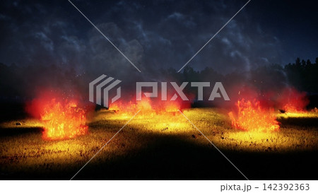 burning natural grass field at night, 3d rendering 142392363