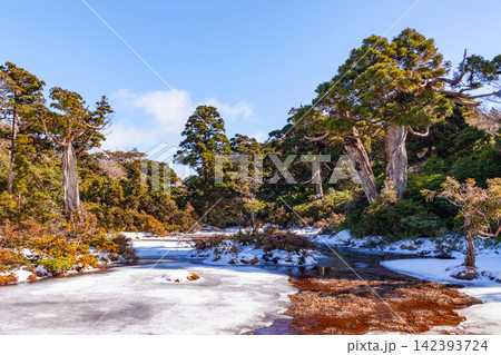 屋久島世界自然遺産 高層湿原小花之江河(冬 屋久島世界自然遺産 高層湿原小花之江河(冬 142393724
