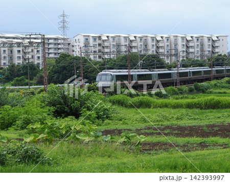 小田急電車のロマンスカー 142393997