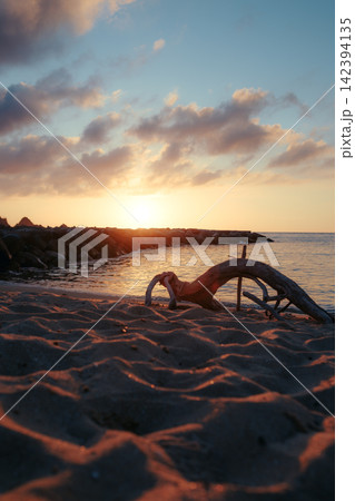 夕陽に染まる砂浜と流木のある海岸風景 夕陽に染まる砂浜と流木のある海岸風景 142394135