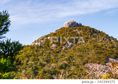 屋久島世界自然遺産 トーフ岩(冬 屋久島世界自然遺産 トーフ岩(冬 142394372