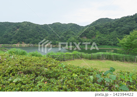 東荒川ダム　ダム公園からの景色　6月　曇り時々雨 142394422