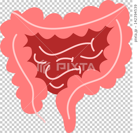 digestive tract illustration gut health and wellness 142394539