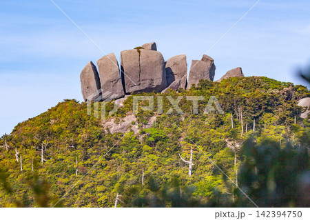屋久島世界自然遺産　トーフ岩(春 142394750