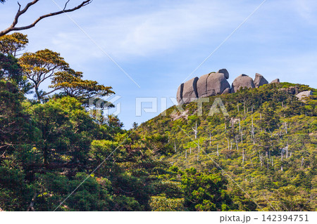 屋久島世界自然遺産 トーフ岩(春 屋久島世界自然遺産 トーフ岩(春 142394751