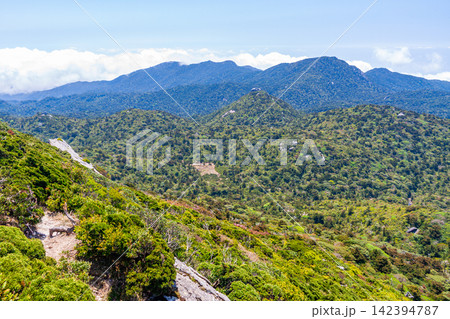 屋久島世界自然遺産　黒味岳からの絶景(春 142394787