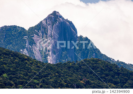 屋久島世界自然遺産 七五岳 (春 屋久島世界自然遺産 七五岳 (春 142394900