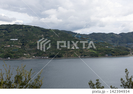 宇和海沿岸の段々畑と山並み(愛媛県) 宇和海沿岸の段々畑と山並み(愛媛県) 142394934
