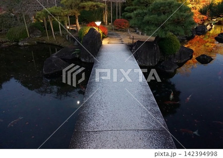 ライトアップされた夜の日本庭園　池を渡る石橋と泳ぐ錦鯉 142394998
