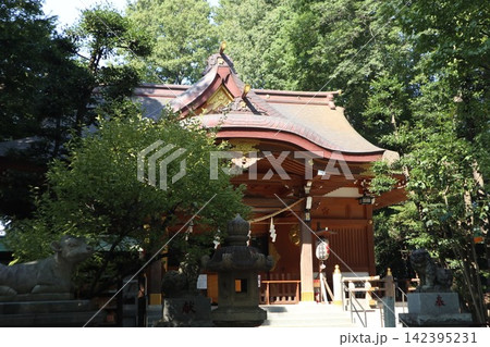 小金井神社 142395231