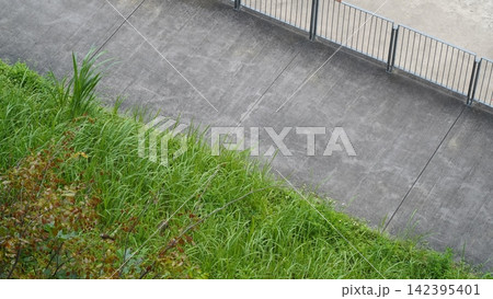 Concrete Path with Lush Greenery and Fencescape Concrete Path with Lush Greenery and Fencescape 142395401