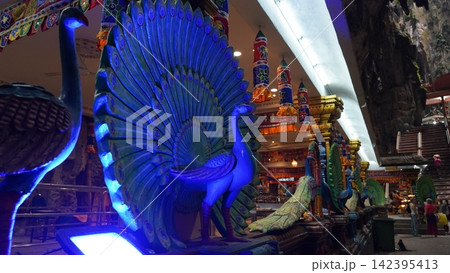 Peacock Statues at Batu Caves Malaysia Peacock Statues at Batu Caves Malaysia 142395413