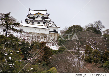 冬景色の国宝 彦根城と日本庭園 冬景色の国宝 彦根城と日本庭園 142395574