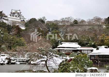 冬景色の国宝 彦根城と日本庭園 冬景色の国宝 彦根城と日本庭園 142395577