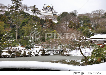 冬景色の国宝　彦根城と日本庭園 142395578
