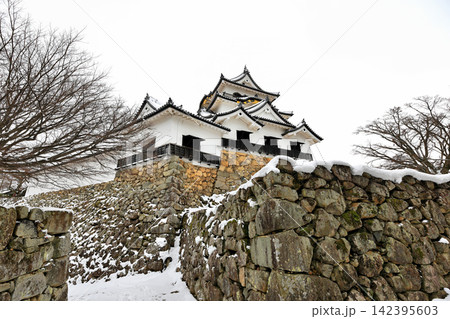 冬景色の国宝　彦根城と日本庭園 142395603
