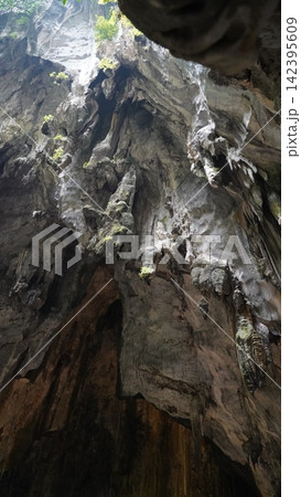 Cave Interior Rock Formations Geology and Cave Plants Cave Interior Rock Formations Geology and Cave Plants 142395609