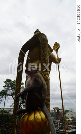 Monkey Sitting on Statue Batu Caves Kuala Lumpur Monkey Sitting on Statue Batu Caves Kuala Lumpur 142395610