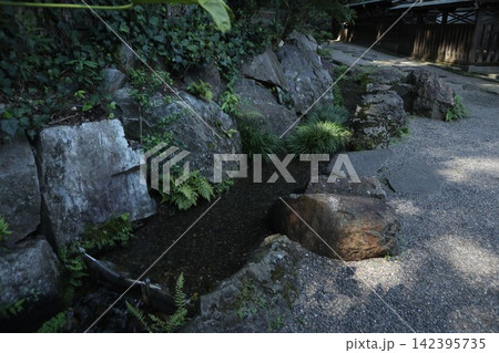 小金井市　貫井神社 142395735