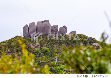 屋久島世界自然遺産 トーフ岩(夏 屋久島世界自然遺産 トーフ岩(夏 142395758