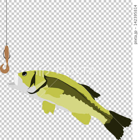 釣りのイラスト 142395814