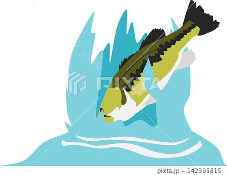 ブラックバスのイラスト 142395815