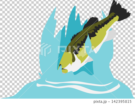 ブラックバスのイラスト 142395815
