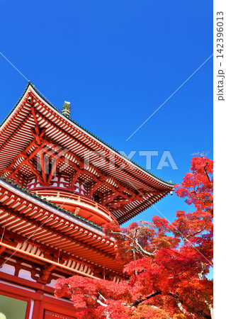 千葉県 秋の成田山公園 紅葉と平和大塔 千葉県 秋の成田山公園 紅葉と平和大塔 142396013
