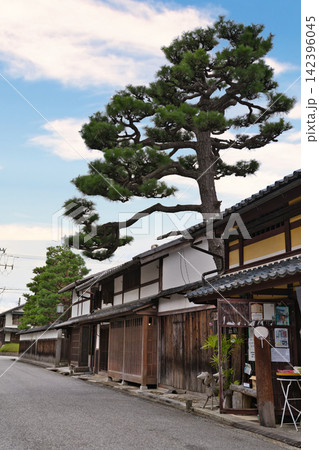 近江八幡の古い町並みに残る町家と松の木 142396045