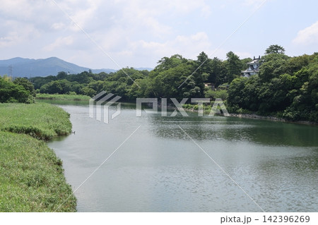豊橋市 吉田城2026年⑨ 豊橋市 吉田城2026年⑨ 142396269