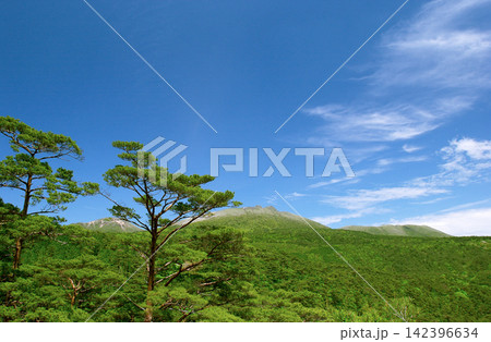 鹿児島県 赤松林と霧島連山 鹿児島県 赤松林と霧島連山 142396634
