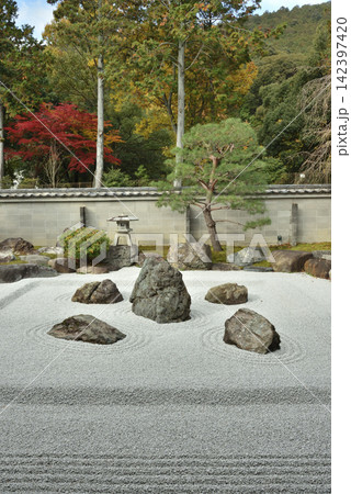 安祥寺庭園 秋の五智遍明庭(京都市山科区) 安祥寺庭園 秋の五智遍明庭(京都市山科区) 142397420