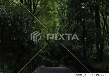 大田区　平和の森公園 142397676