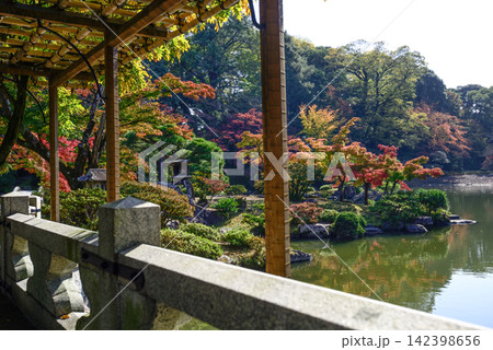 京都仙洞御所 南池 紅葉 京都仙洞御所 南池 紅葉 142398656