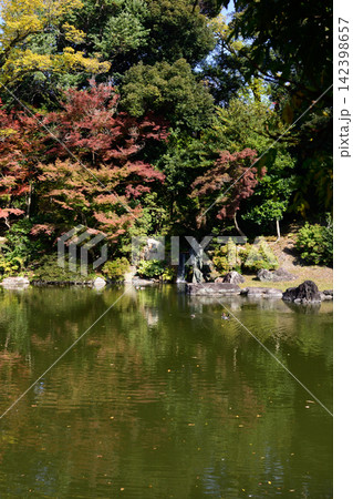 京都仙洞御所　南池　紅葉 142398657