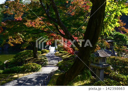 京都仙洞御所 南池 紅葉 京都仙洞御所 南池 紅葉 142398663