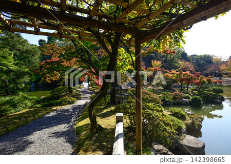 京都仙洞御所 南池 紅葉 京都仙洞御所 南池 紅葉 142398665