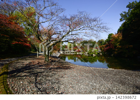 京都仙洞御所 南池 紅葉 京都仙洞御所 南池 紅葉 142398672