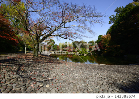 京都仙洞御所 南池 紅葉 京都仙洞御所 南池 紅葉 142398674