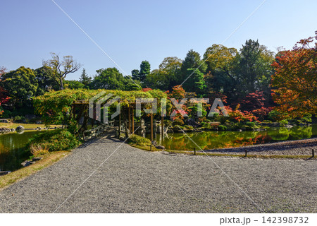 京都仙洞御所 南池 八ッ橋 紅葉 京都仙洞御所 南池 八ッ橋 紅葉 142398732