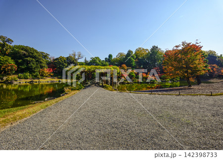 京都仙洞御所　南池　八ッ橋　紅葉 142398733
