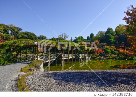 京都仙洞御所 南池 八ッ橋 紅葉 京都仙洞御所 南池 八ッ橋 紅葉 142398736