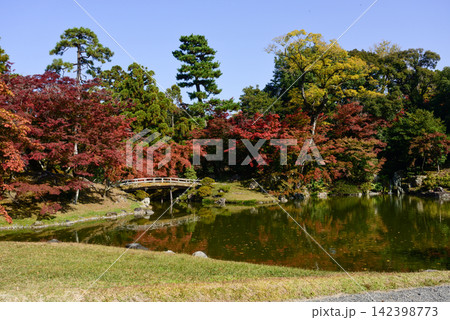 京都仙洞御所 紅葉橋 紅葉 京都仙洞御所 紅葉橋 紅葉 142398773