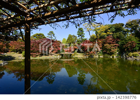 京都仙洞御所 紅葉橋 紅葉 京都仙洞御所 紅葉橋 紅葉 142398776