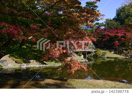 京都仙洞御所 紅葉橋 紅葉 京都仙洞御所 紅葉橋 紅葉 142398778