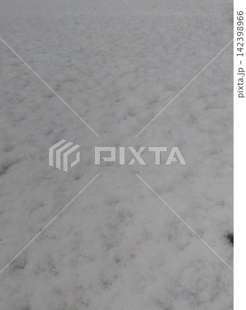 雪 雪 142398966
